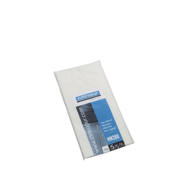 Cintropur NW280-100 micron -os szűrőbetét