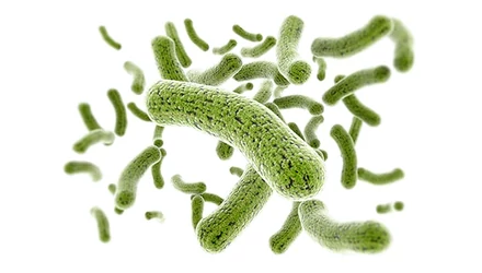 Állattartó telepek vízkezelése